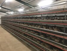 Quail Breeding Cages