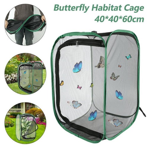 Green collapsible insect cage - insect,