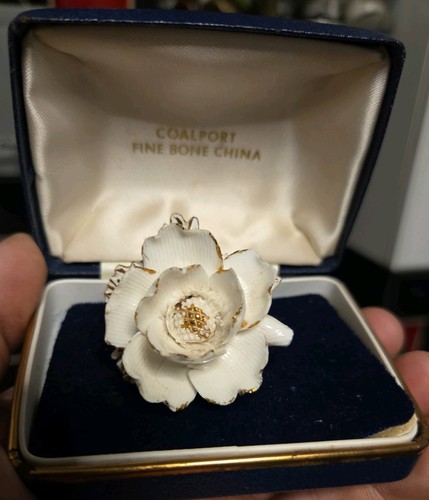 Vuntage coalport fine bone - vuntage,