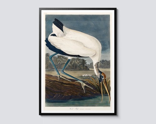 John james audubon - john,