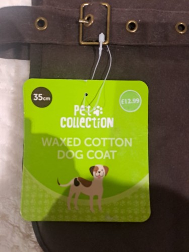 Small dogs jumpers and coats - dogs,