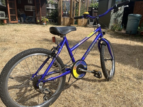 Kids raleigh wheel bike - 20”,