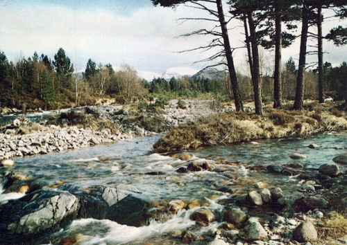 Scotland postcard coylumbridge - scotland,