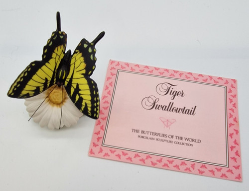 Tiger swallowtail - tiger,