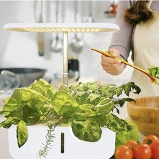 Holzsammlung Indoor Garden Hydroponics Growing System, 10 Pods Plant Germination