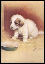 Tobacco Card, Godfrey Phillips, OUR PUPPIES, 1936, Postcard,Pyrenean Mountain,#5