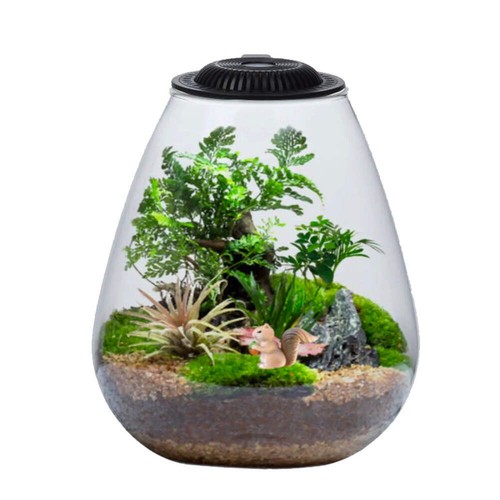 Bio bowl and - bio, 175