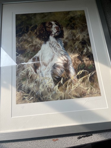 English springer print john - print,