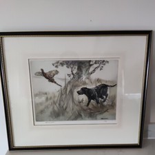 Henry Wilkinson Ltd Ed 71/150 etching, "Pointer and Pheasant"