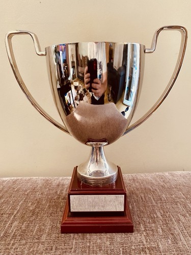 Silver trophy - 🏆,