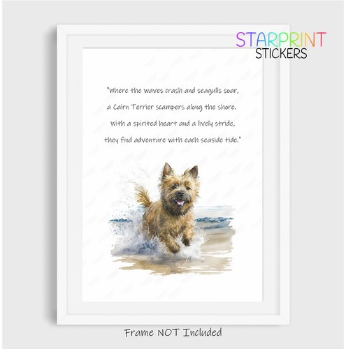 Cairn terrier dog - dog, beach