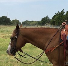 Working Cowboy Split Reins