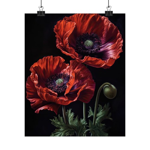Oriental poppy flower art - flower,