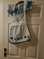  Alice In Wonderland  fancy dress