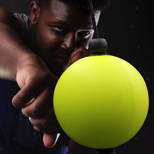 Bag training punching ball - training,