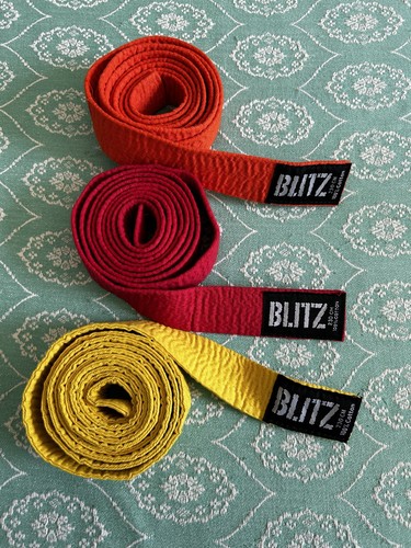 Blitz martial arts - martial,