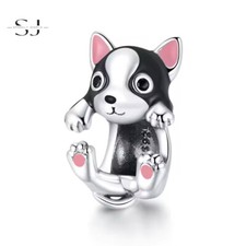 Cute French Bulldog Puppy Dog