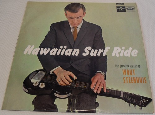 Wout steenhuis hawaiian - wout,