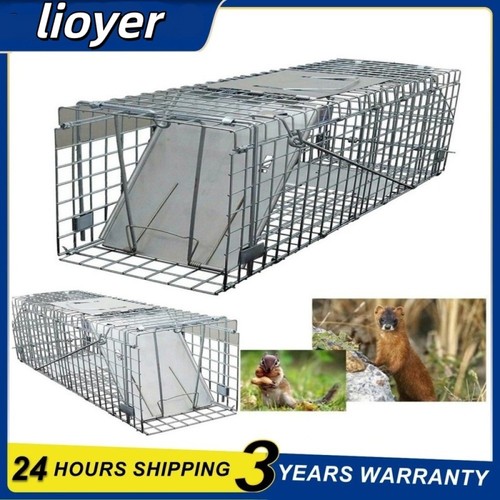 Metal squirrel cage live - squirrel,