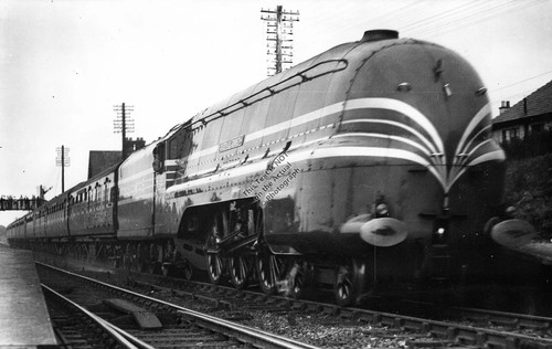 1937 hest bank - hest, train