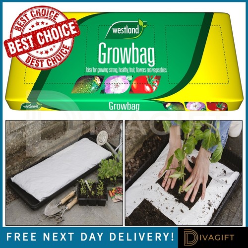 Compost grow bag plant fruit - grow,