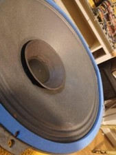 Richard Allan CG 12 t Super 15 ohm speaker vintage