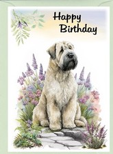 Soft Coated Wheaten Terrier