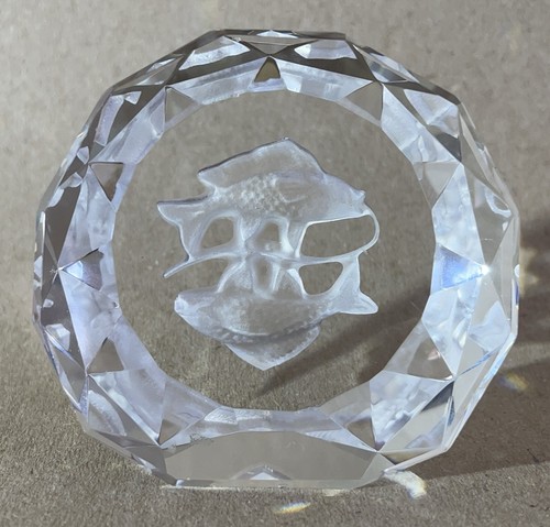 Art glass pisces paperweight - art,