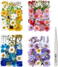 Fuyamp 131 Pcs Pressed Dried