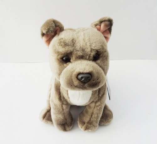 Blue staffordshire bull - staffordshire,