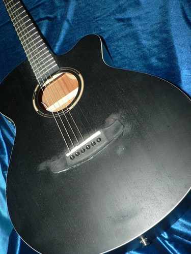 Tanglewood twbb sfce blackbird - tanglewood,