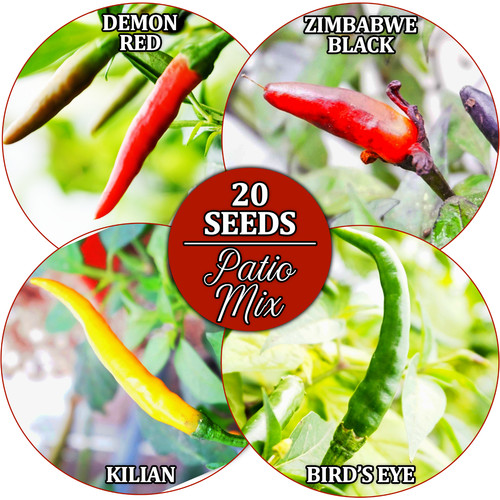 Compact patio chilli - compact,