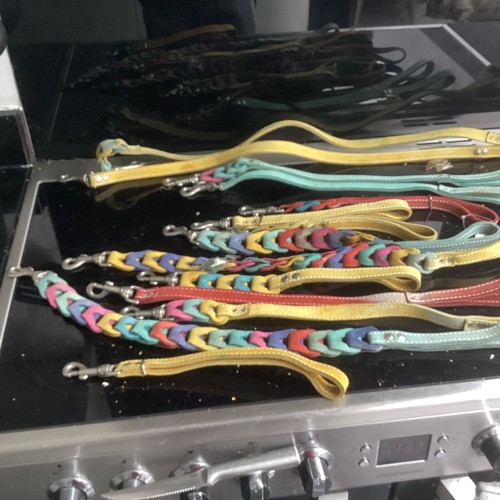 Job lot wholesale dog leads - dog,
