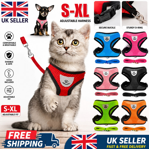Puppy kitten harness - puppy, lead