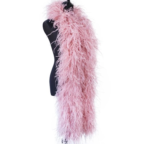 Farm ostrich feather - 2m, boa