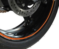41663 ORANGE APPLICATOR RIM