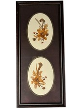 Vintage Framed Pressed Flower