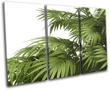 Leaves Botanical Green