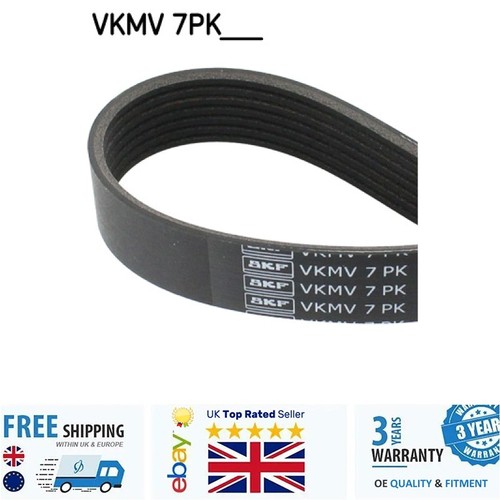 Ribbed belt for honda v - for,