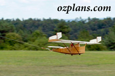 RRG Ente 1/4 Scale Glider 117"