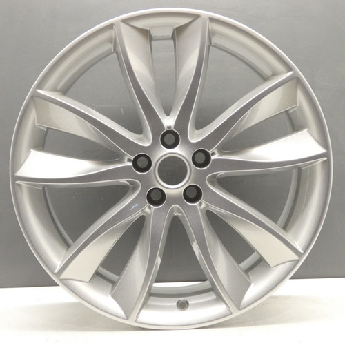 Jaguar hydra portfolio - xf, 20"