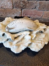 Splashing sea trout studio