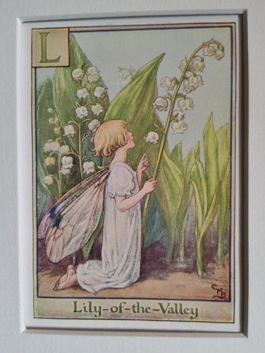 Vintage flower fairies - fairies, &