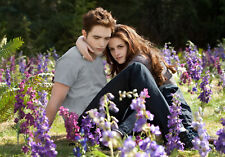 A4 Twilight Poster (Brand New)