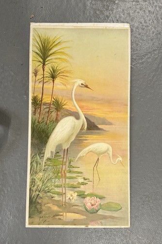 Vintage signed print - vintage,