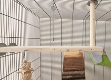 Sky Platform & Hooks (40cm) - Pet Cage Accessories, Shelf, Ledge, Rat, 21cm Pole