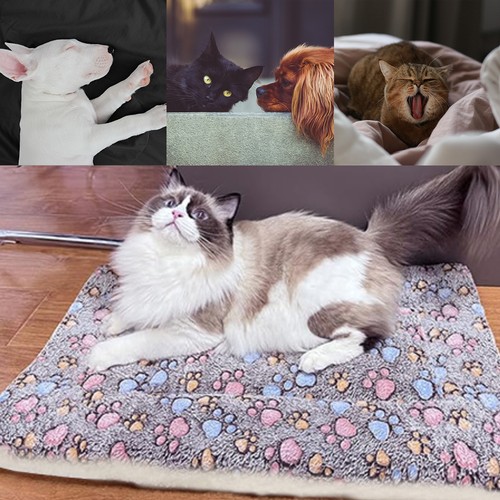 Washable pet blanket - pet,