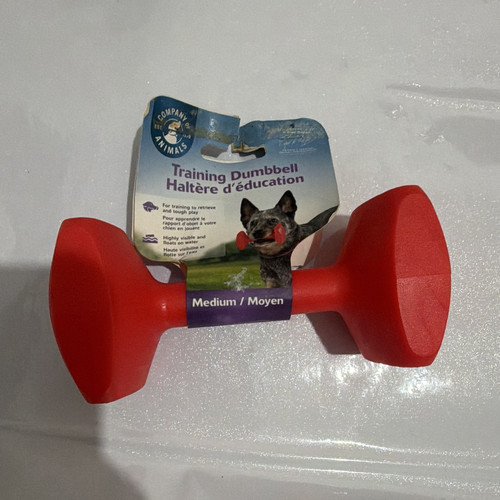 Company animals dog - company,