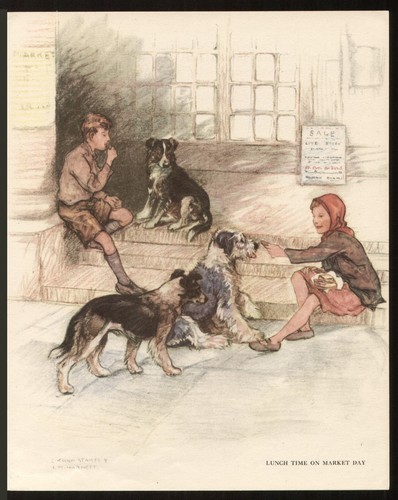 Border collie old english - border,