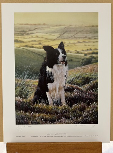 Steven townsend watchful eye - steven,